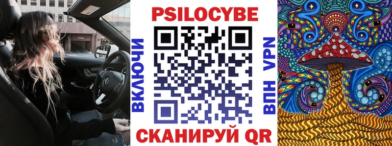 цена   Катайск  Галлюциногенные грибы Psilocybine cubensis 