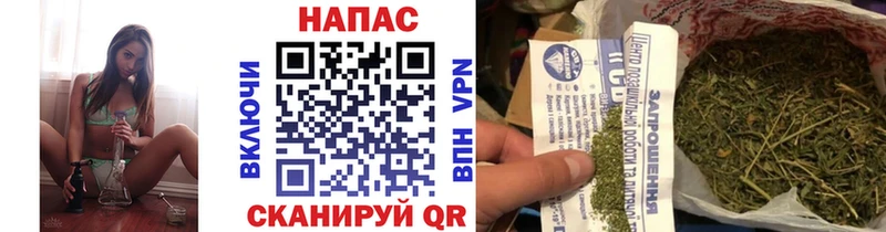 OMG ССЫЛКА  Катайск  Бошки Шишки семена  купить наркотик 